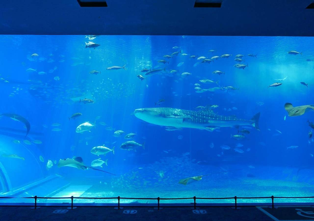 Hotel Mahaina Wellness Resorts Okinawa Eksteriør bilde